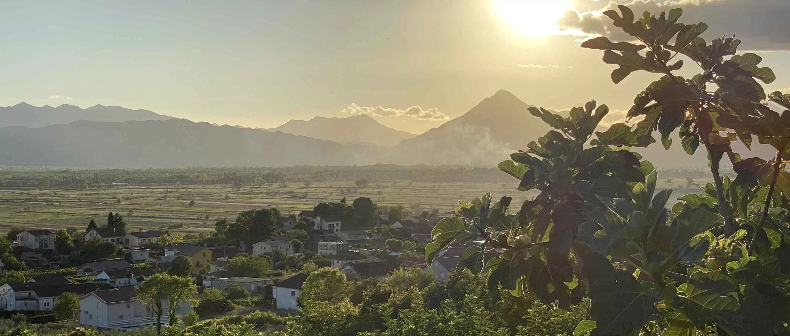 Ein Feigenhain in der Herzegowina