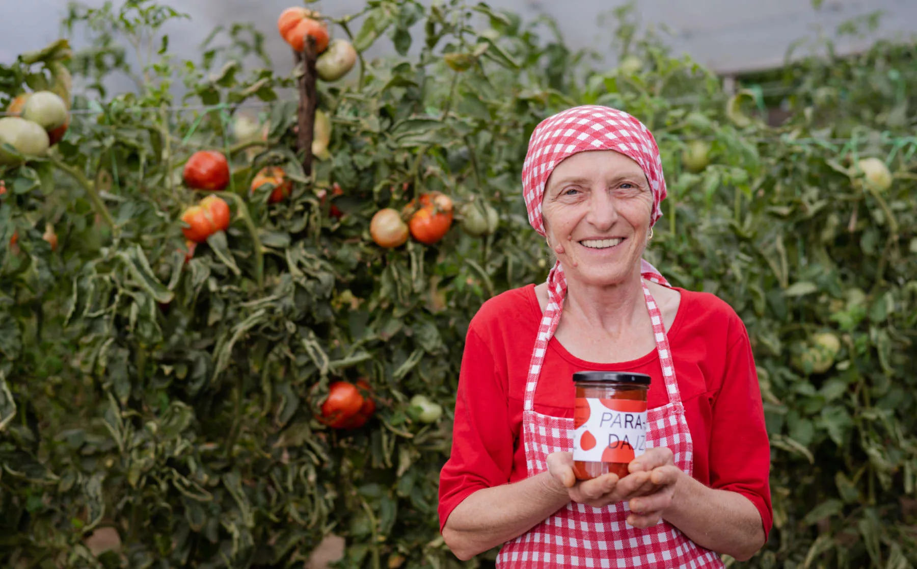 Slobodanka im Tomatengarten mit einem Glas Paradajz