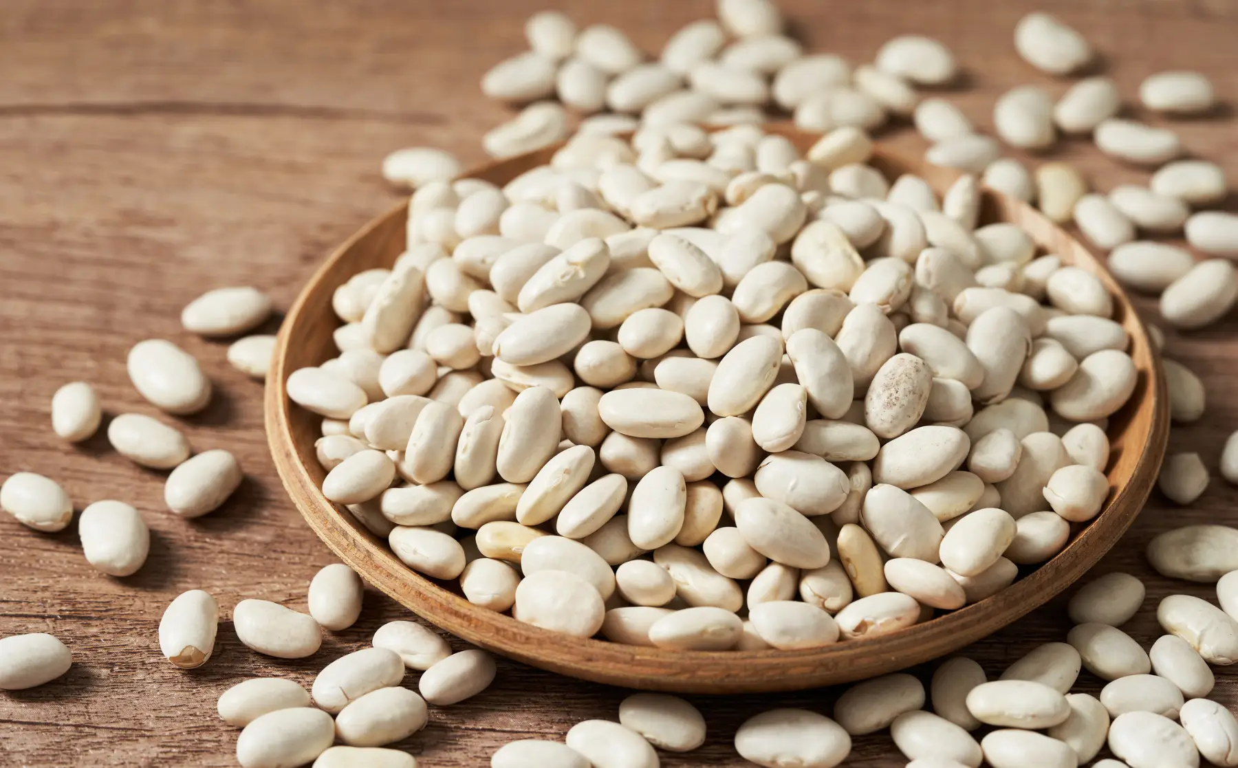 Weiße Bohnen für Prebranac